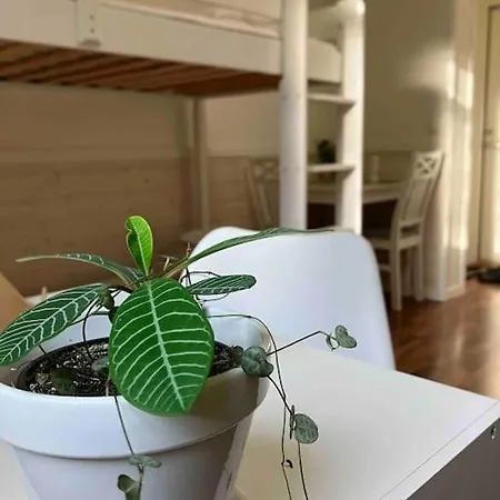 Entire Flat Located 2km From Center, Free Parking * Tampere